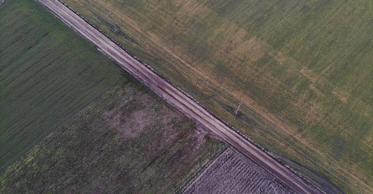 Applications of Geodetic Surveys in Environmental Monitoring