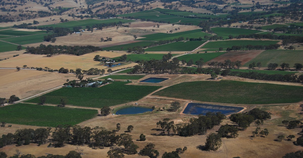 Best Practices for Creating Subdivision Survey Plans