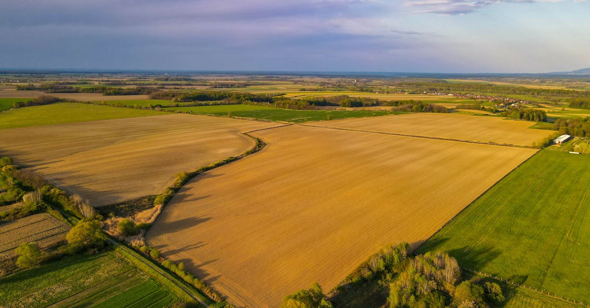 Common Challenges Encountered in Subdivision Surveys