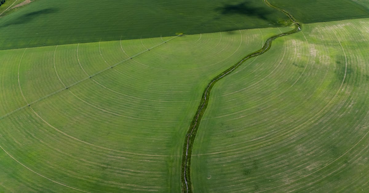 Common Legal Challenges in Property Boundary Disputes