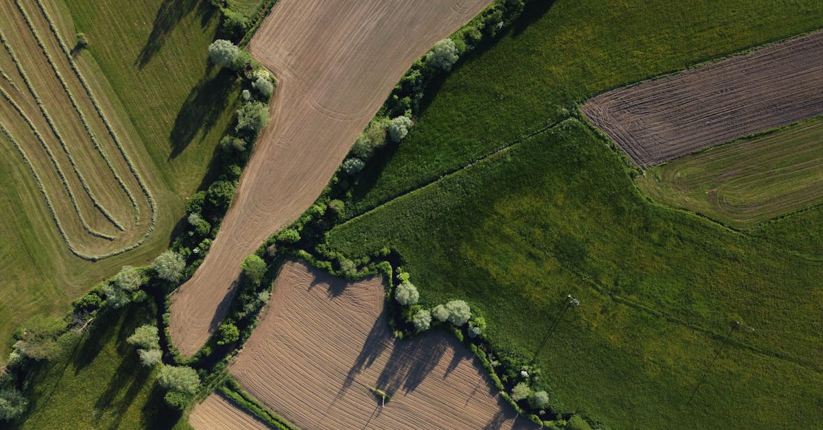 How 3D Laser Scanning Enhances Land Surveying Efficiency