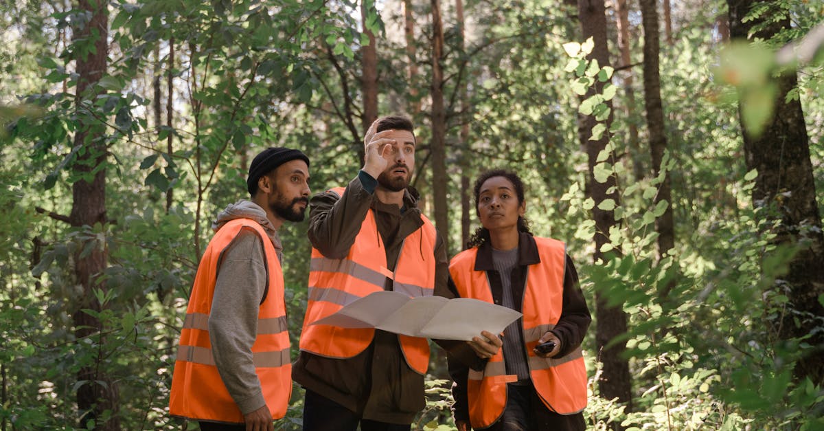 How Subdivision Surveys Affect Land Value