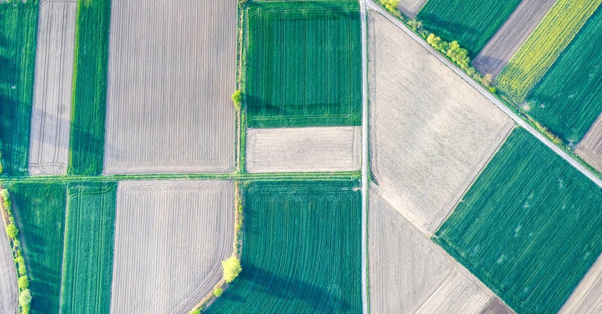 How Topographic Surveys Contribute to Land Development Projects