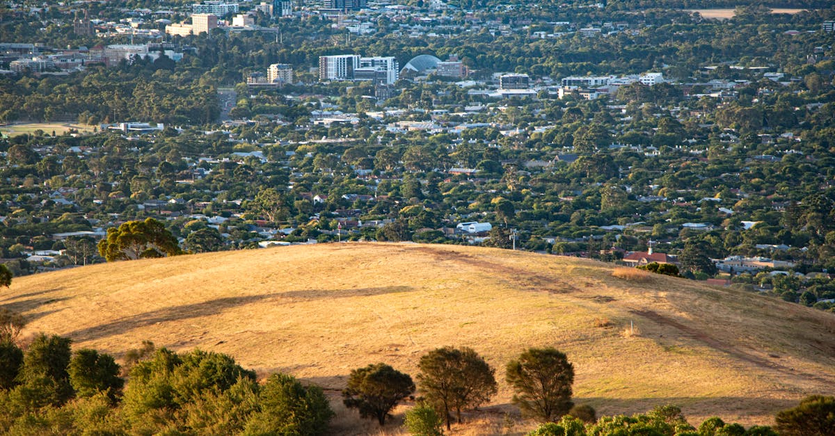 Procedures for Resolving Boundary Disputes in Victoria