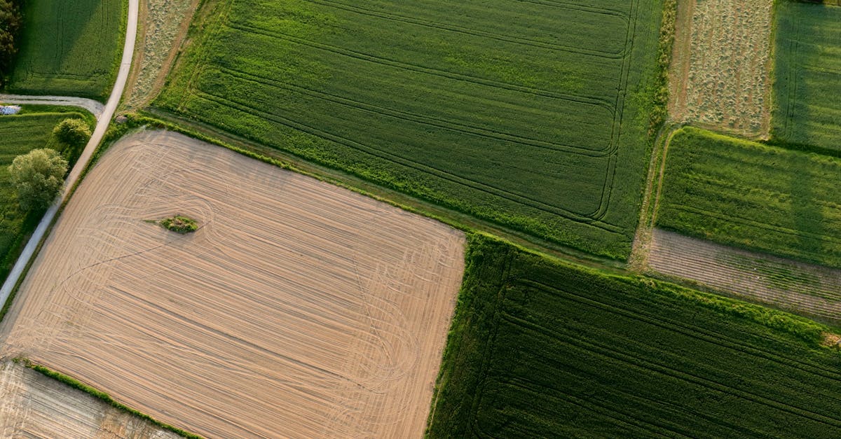 Regulatory Compliance for Drone Operations in Surveying