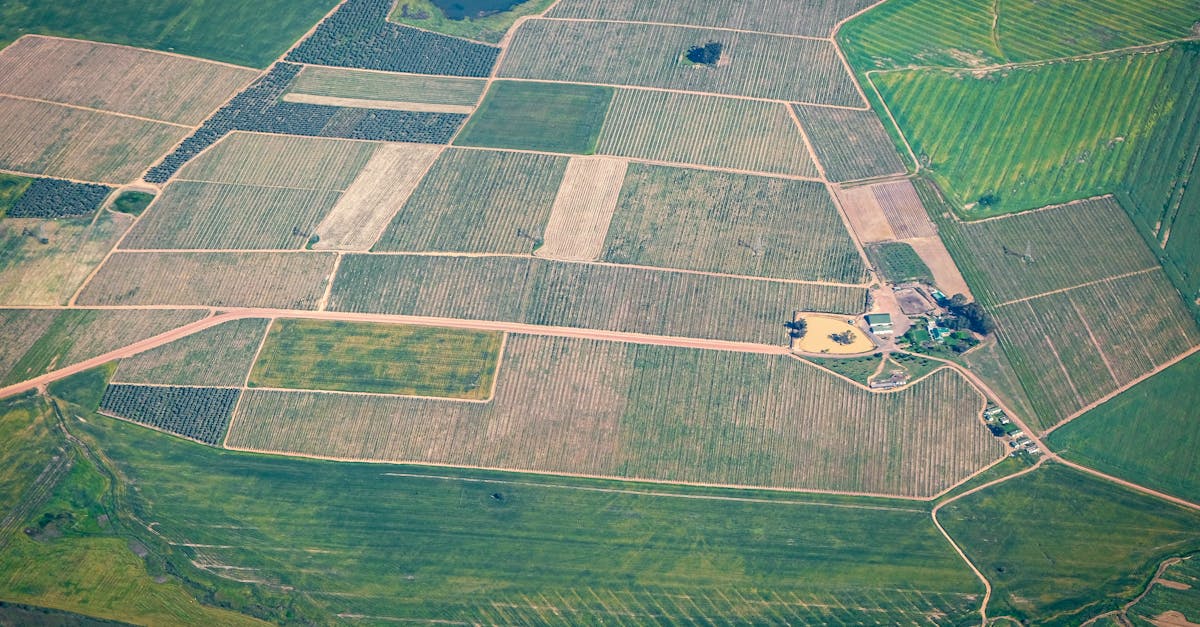 Safety Considerations When Using Drones in Land Surveying