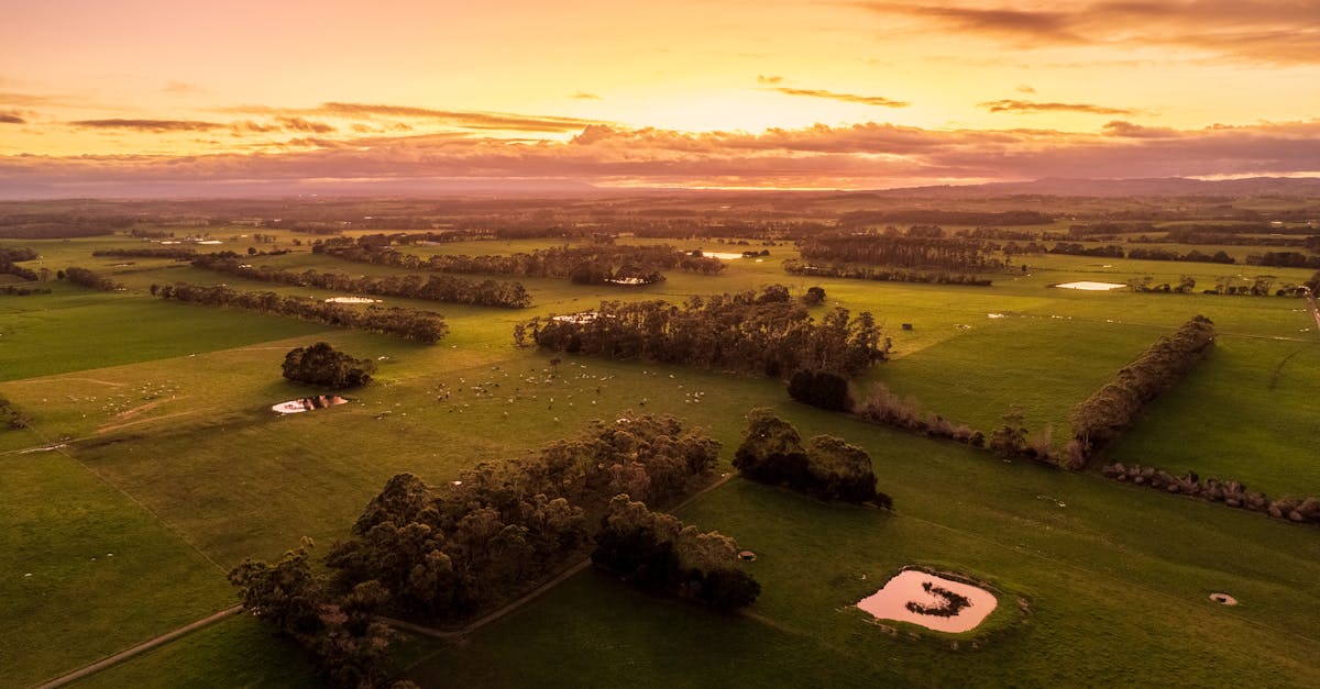 The Future of Survey Data Analysis Software