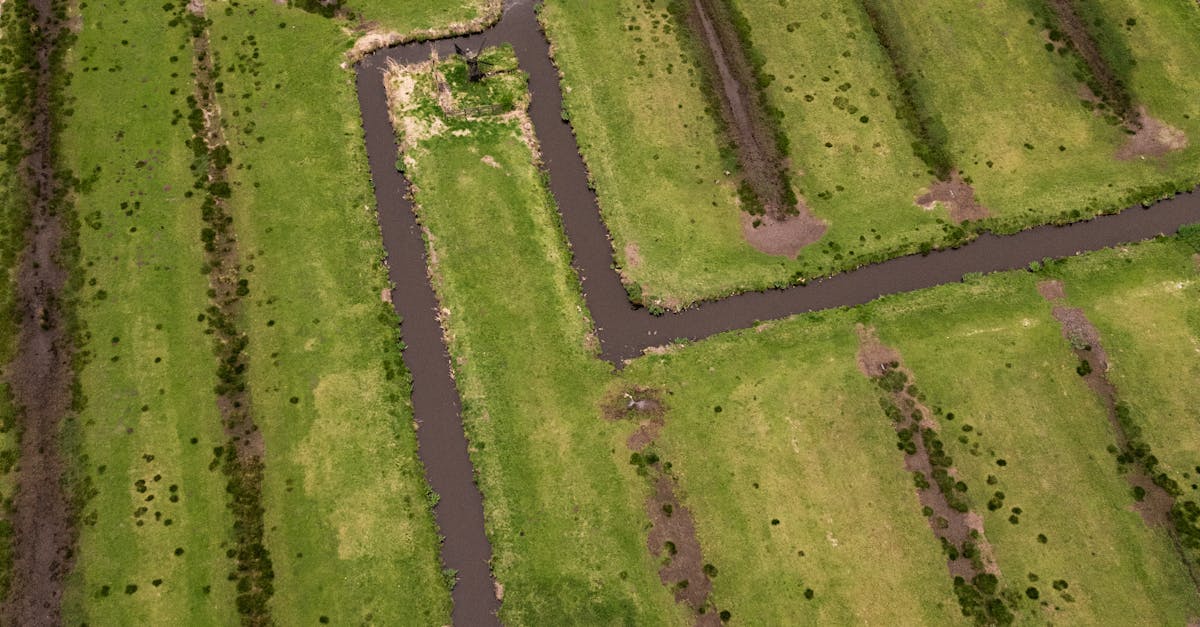 The Importance of Compliance with Land Surveying Standards in Victoria