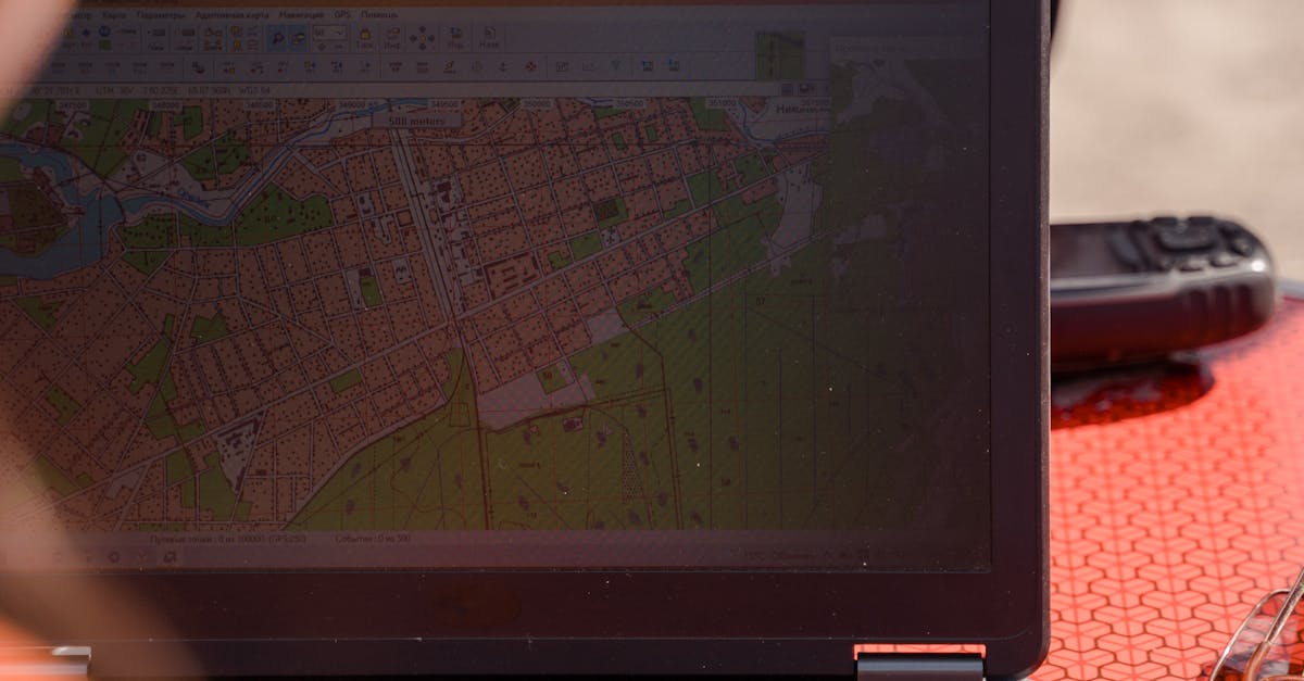The Role of Expert Witnesses in Surveying Conflicts