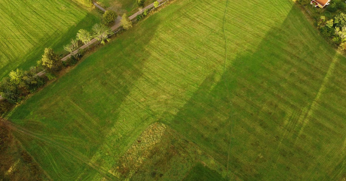 The Role of Topographic Surveys in Environmental Planning