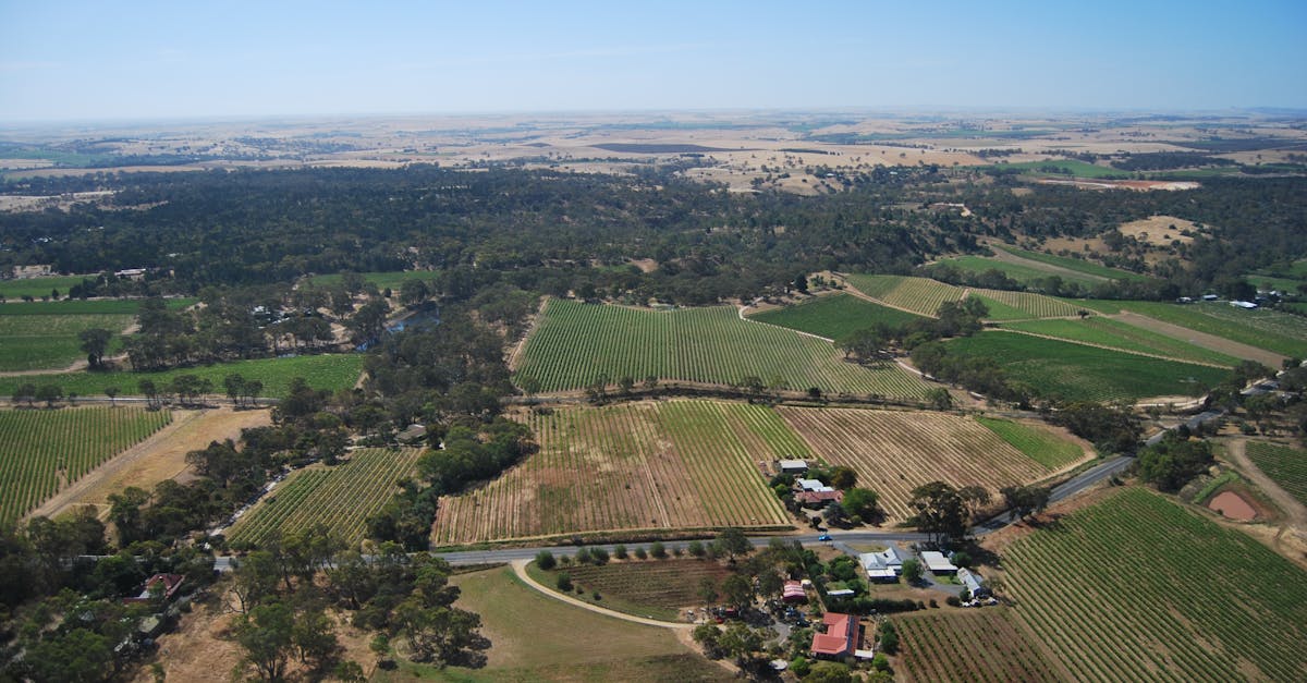 Training Requirements for Effectively Using Total Stations