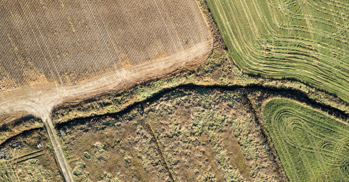 Understanding the Influence of Local Zoning Laws on Surveying Practices in Geelong